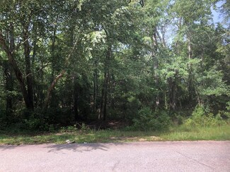 0 Sycamore St, Dalzell, SC 29040