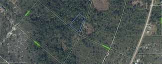 1266 Crosswoods St, Lake Placid, FL 33852