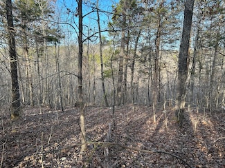 000 County Road 145, Alton, MO 65606