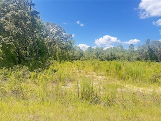 TBD SW 91 Ln, Dunnellon, FL 34432