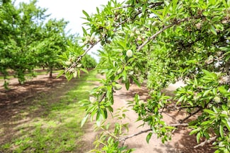 0 Road 29 Rd Unit 610250, Madera, CA 93638