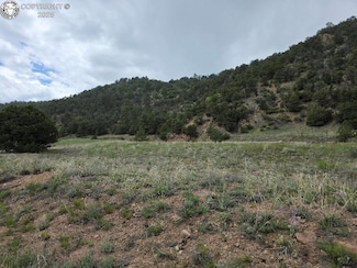 8099 County Road 28, Cotopaxi, CO 81223
