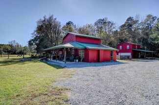 3905 Delway Hwy, Harrells, NC 28444