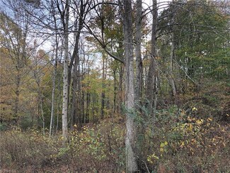 416 Hickman Hollow Trail, Mount Airy, NC 27030