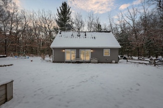 11672 S Red Cedar Ave, Baldwin, MI 49304