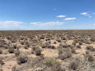 0 Sanford Rd Unit REC1993514, Blanca, CO 81123