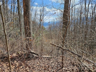 00 Wolverine Ct Unit 48, Waynesville, NC 2875
