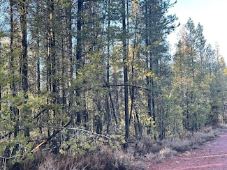 TL 16 Deacon Dr, Chiloquin, OR 97624
