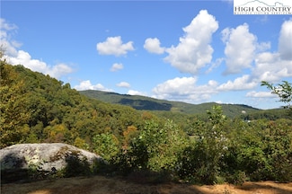 TBD Peach Bottom Rd, Independence, VA 24348