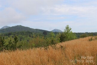 332 Parris Rd, Rutherfordton, NC 28139