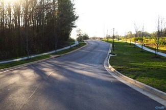 Lot 1 Madison Branch Blvd, Madison, AL 35756