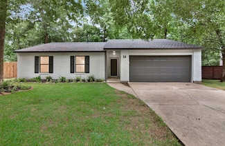 14 Fiddleleaf Ct, Spring, TX 77381