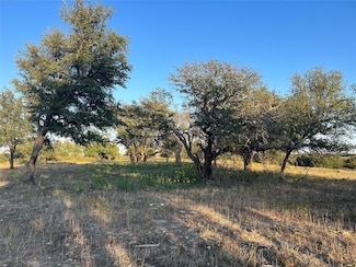 TBD Bellenger, Weatherford, TX 76088