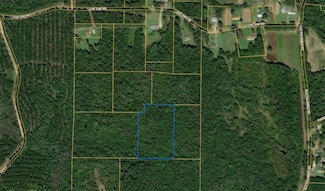 NHN Will Roberts Rd, Angie, LA 70426