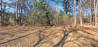 Forestridge Rd, Jefferson, TX 75657