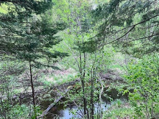 LOT 9 BLOCK 1 Yellow Birch Ln, Emily, MN 56447