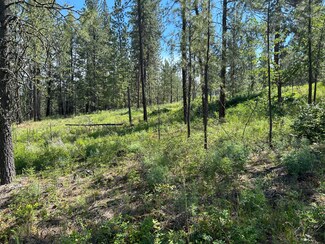 1181 Fumi Cir, Kettle Falls, WA 99141