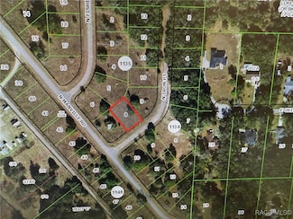 7424 N Iron Point, Dunnellon, FL 34434