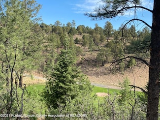 L2D Walter Hagen Dr, Alto, NM 88312