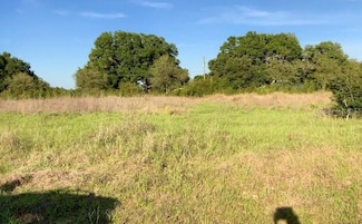 8920 Valerie Ct, Zephyrhills, FL 33540