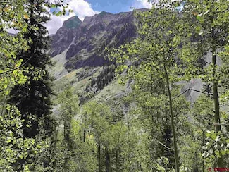 Little Giant County Road 21, Silverton, CO 81433