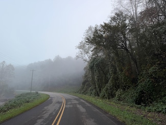 0 Whitepath Rd Unit 25525206, Ellijay, GA 30540