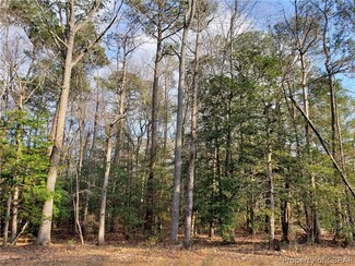 0 Railway Rd, Chesapeake, VA 23138