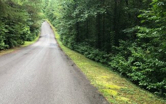 Lt 32 E Ridge Ln, Ellijay, GA 30536