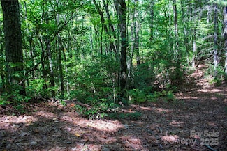 TBD Frozen Creek None Unit 34, Brevard, NC 28712