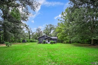 30545 Raney Rd, Albany, LA 70711