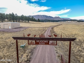 10 Cr N2157, Alpine, AZ 85920