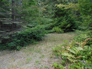 0 Point View Ave Unit 889560, Brinnon, WA 98320
