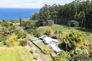 36-1069 Jardine Rd, Laupahoehoe, HI 96764