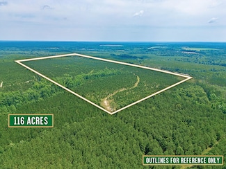 0 Towns Livingston Rd Unit 20695947, Lumber City, GA 31549