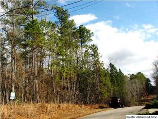 0 Coleman St Unit .55 AC 617080, Heflin, AL 36264