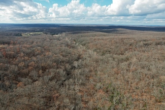 000 Hwy Pp, Collins, MO 64738