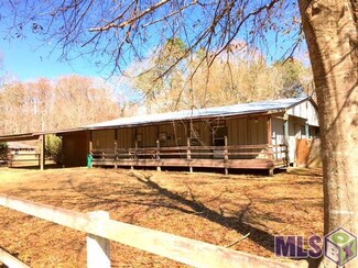 22369 Aydel Ln, Maurepas, LA 70449
