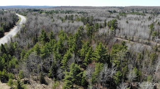 TBD 1 Michigan 28, Trout Creek, MI 49967