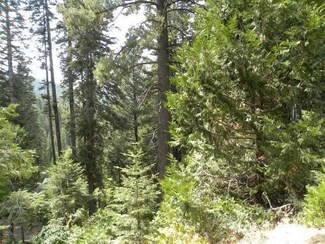 0 Lot 124 Yosemite Park Way, Yosemite, CA 95389