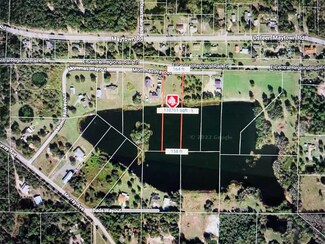 355 Mommas Wayout, Osteen, FL 32764