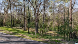 3328 Cahaba Heights Rd Unit 3A, Vestavia Hills, AL 35243
