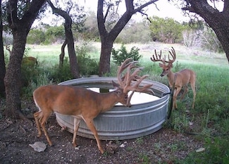 290 Dominion Ranch Rd NW, Junction, TX 76849