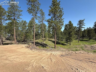 14681 Quartz Creek Dr, Black Forest, CO 80908