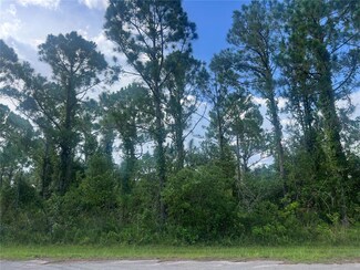 8114 Marin St, Sebring, FL 33872