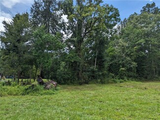 26023 S Satsuma Rd, Livingston, LA 70754