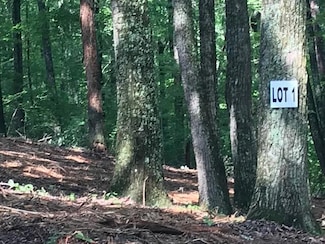 0 Piney Knob Dr Unit 20252621, Spring City, TN 37381