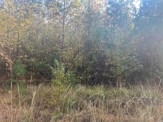 164 Hot Springs Dr, Arkadelphia, AR 71923