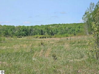 0 W Moorestown Unit 1935828, Lake City, MI 49651