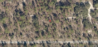 Lot 33 SW Blueberry Ln, Dunnellon, FL 34431