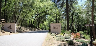 0 Bridle Path Rd Unit 225118150, Weimar, CA 95713